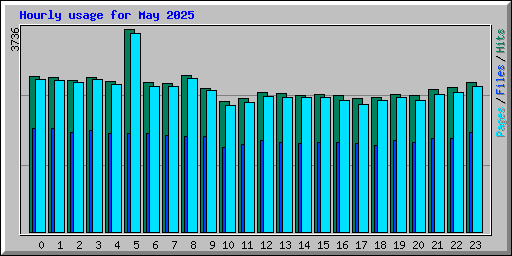Hourly usage for May 2025
