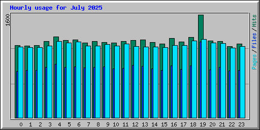 Hourly usage for July 2025