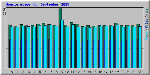 Hourly usage for September 2025