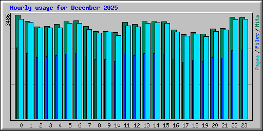 Hourly usage for December 2025
