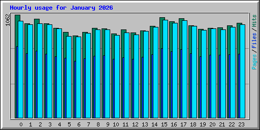 Hourly usage for January 2026